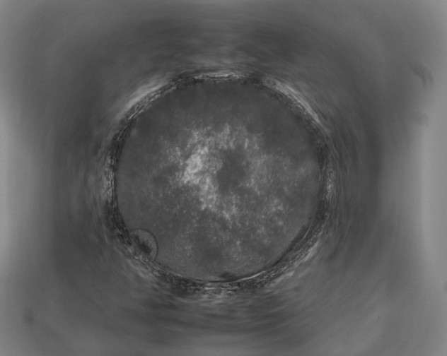 X0000112931350200909071025