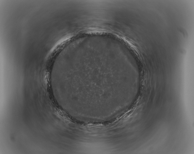 X0000112931351200909071025