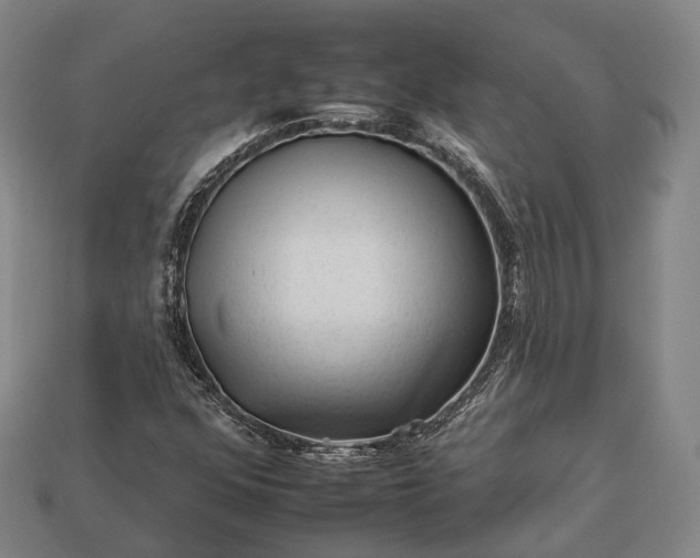 X0000112931352200909071025