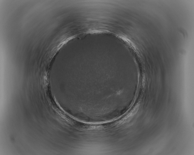 X0000112931353200909071025