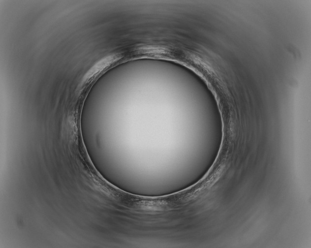 X0000112931354200909071025