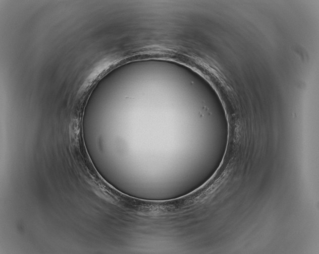 X0000112931355200909071025