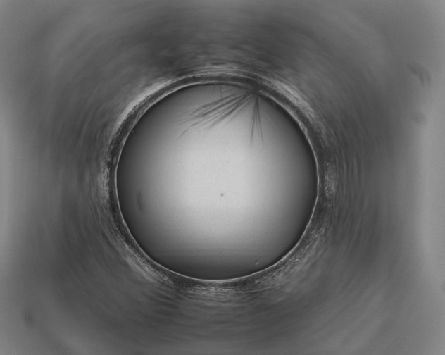 X0000112931356200909071025