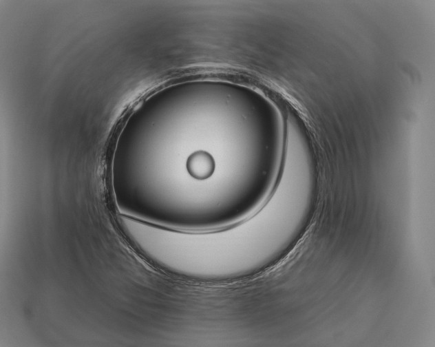 X0000112931357200909071025