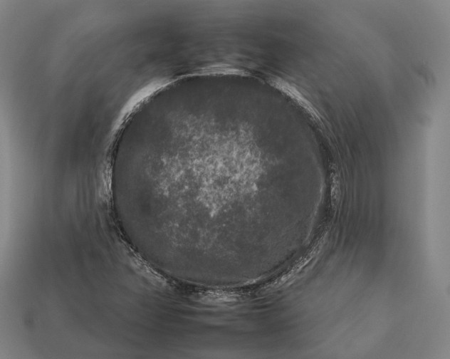 X0000112931358200909071025