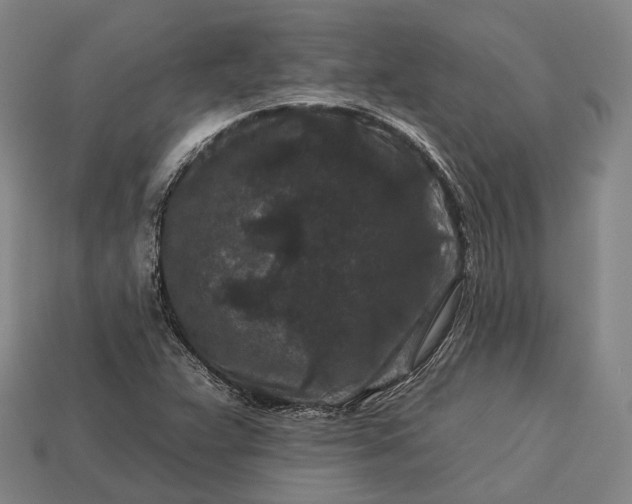 X0000112931359200909071025