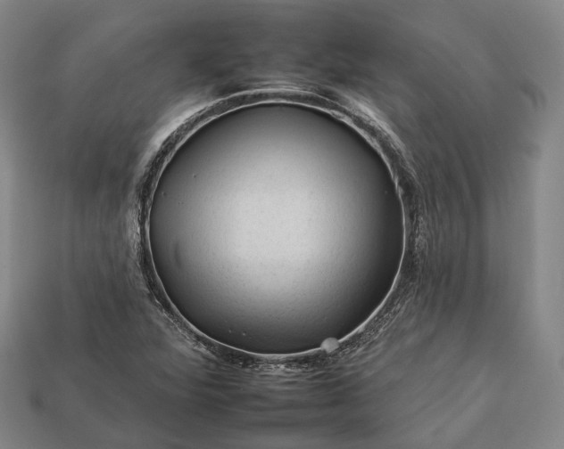 X0000112931360200909071025