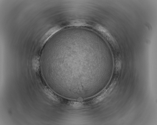 X0000112931361200909071025