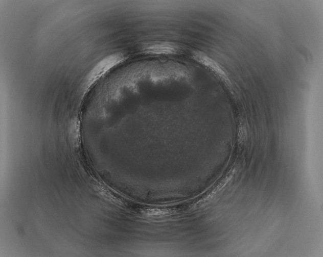 X0000112931362200909071025