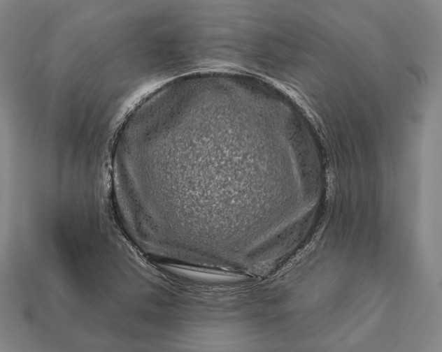 X0000112931363200909071025