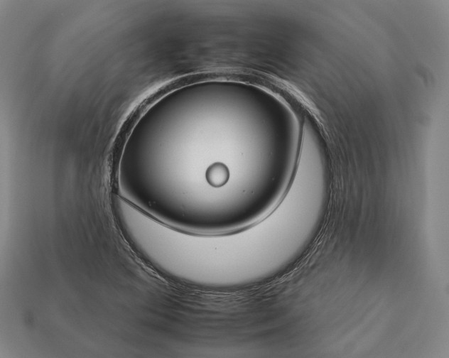 X0000112931364200909071025