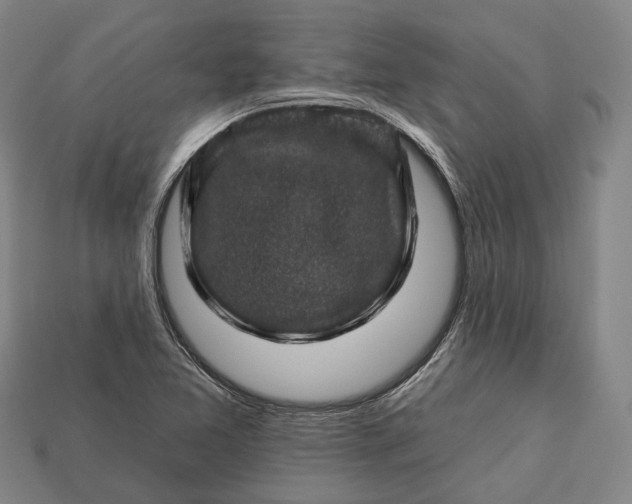 X0000112931365200909071025