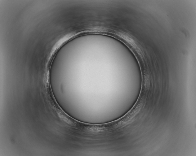 X0000112931366200909071025