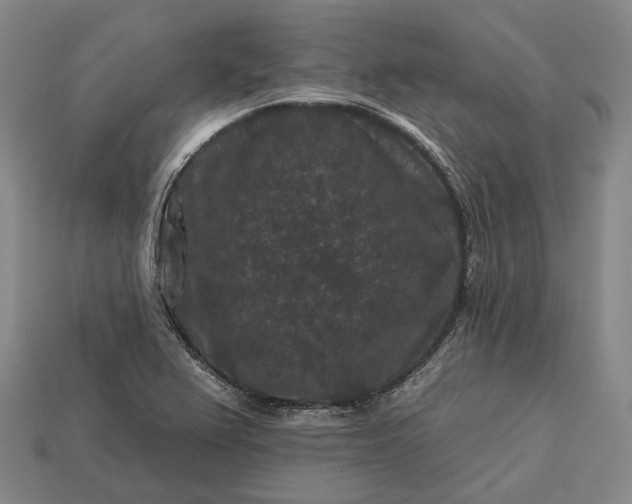 X0000112931367200909071025