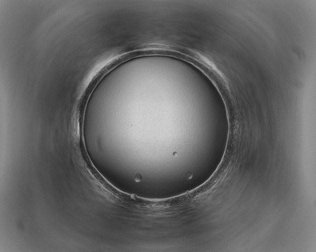 X0000112931368200909071025