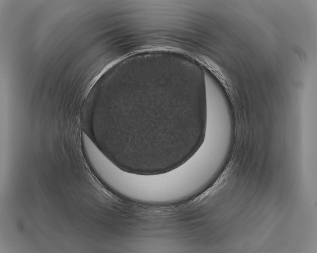 X0000112931369200909071024