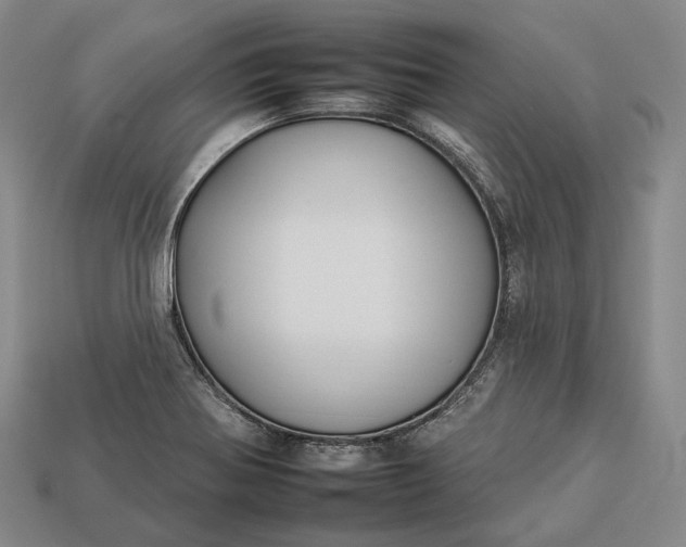 X0000112931370200909071024