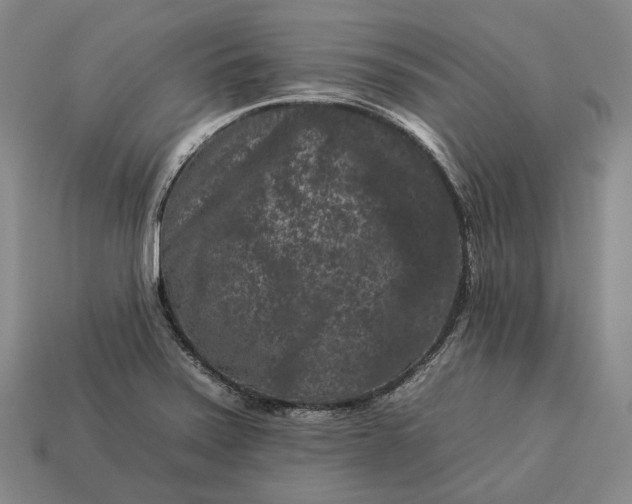 X0000112931371200909071024