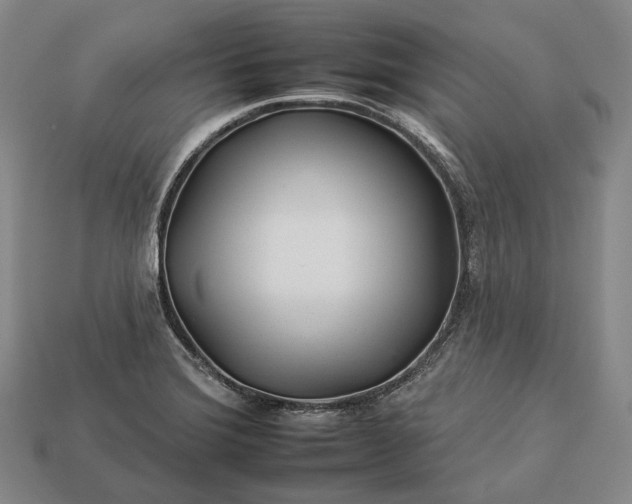 X0000112931372200909071024