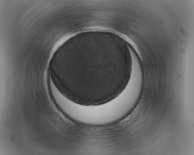 X0000112931373200909071024