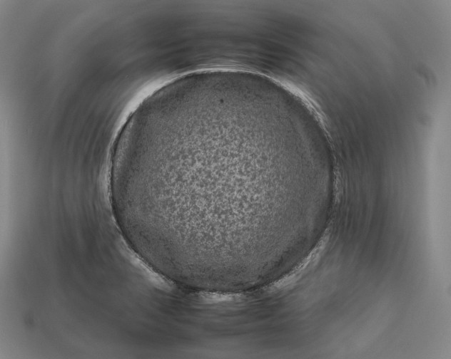 X0000112931374200909071024