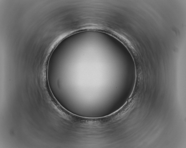 X0000112931375200909071024