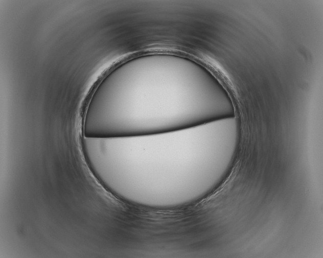 X0000112931376200909071024