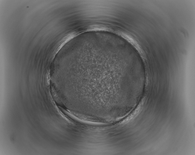 X0000112931377200909071024