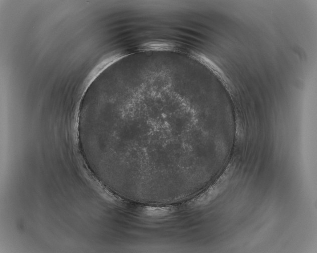 X0000112931378200909071024