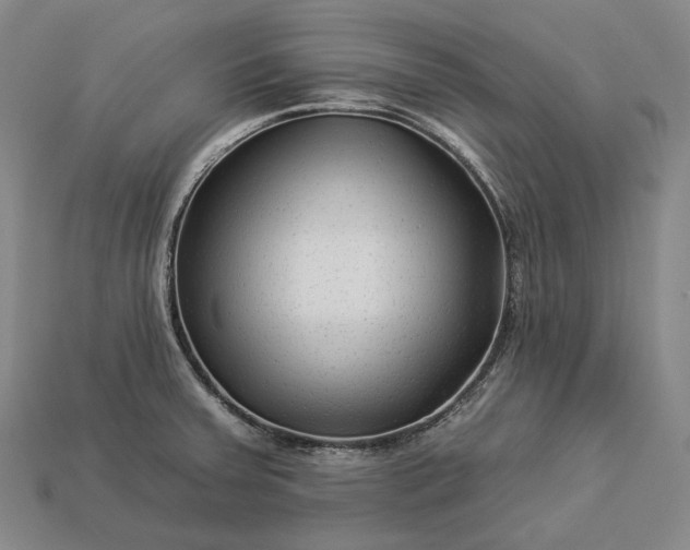 X0000112931379200909071024