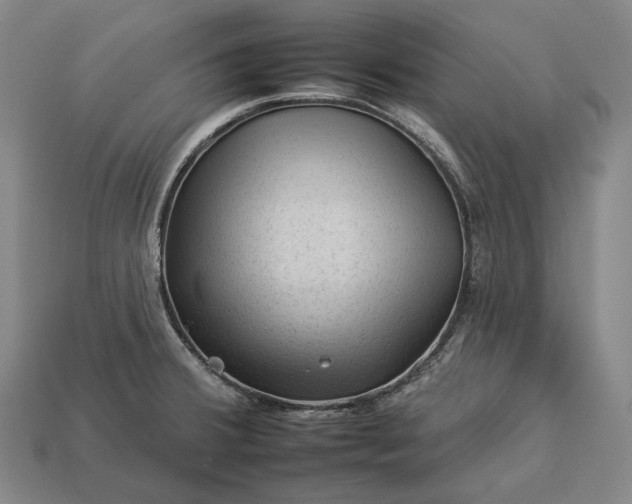 X0000112931380200909071024