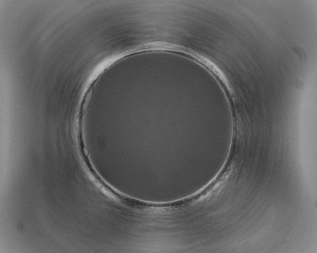 X0000112931381200909071024