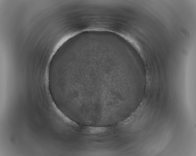 X0000112931382200909071024