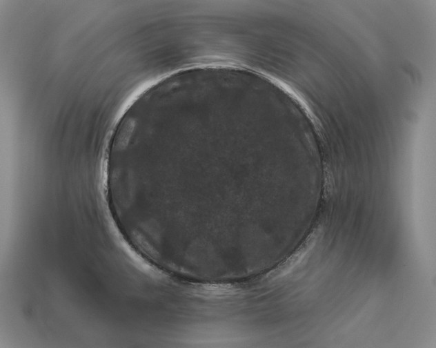 X0000112931383200909071024