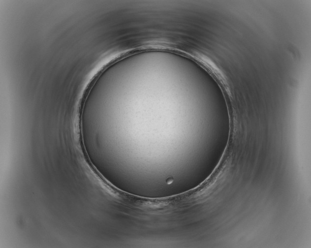 X0000112931384200909071024