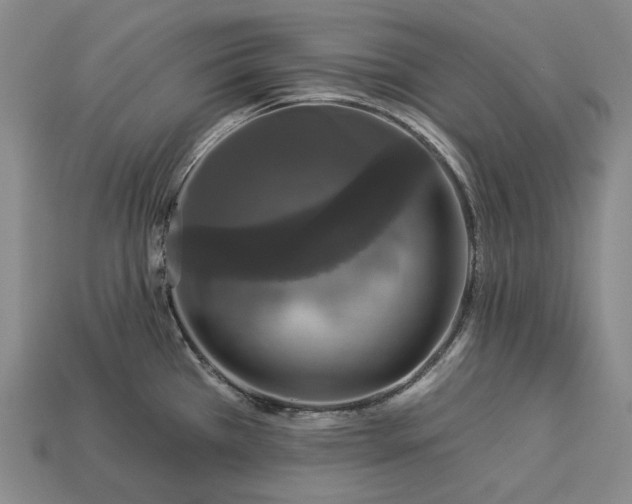 X0000112931385200909071024