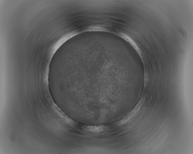 X0000112931386200909071024