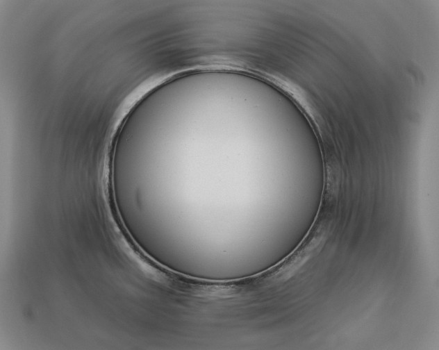 X0000112931387200909071024