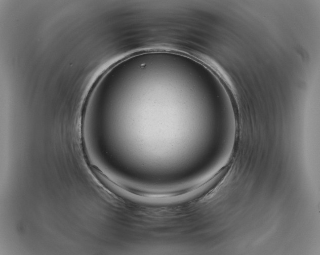 X0000112931388200909071024