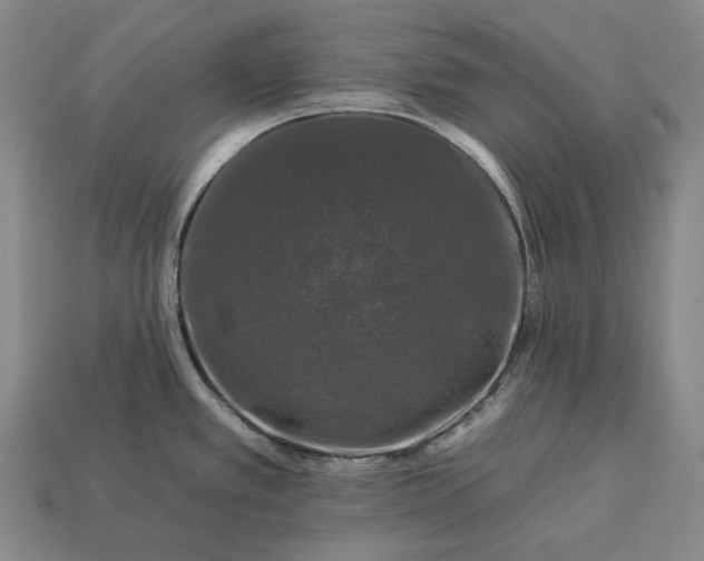 X0000112931389200909071024