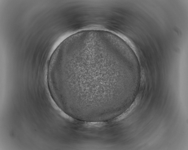 X0000112931390200909071024