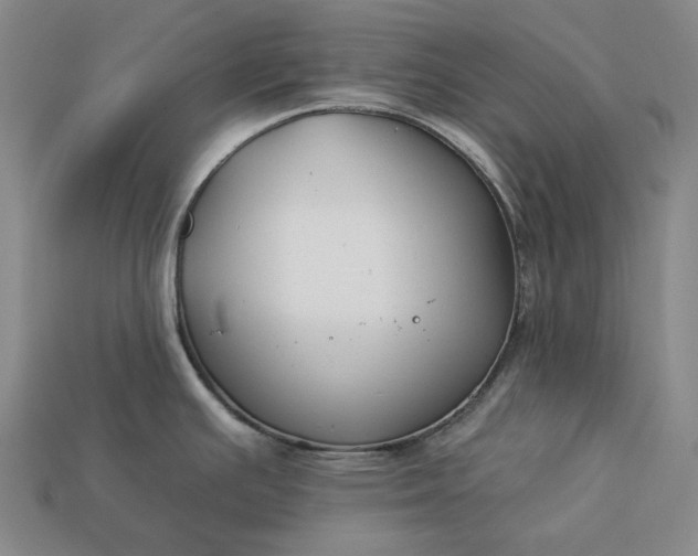 X0000112931391200909071024