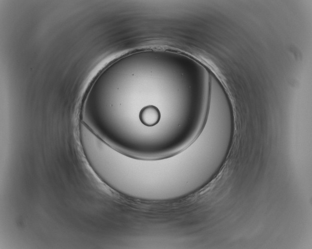 X0000112931392200909071024