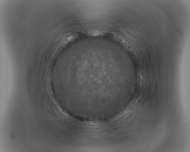 X0000112931393200909071024