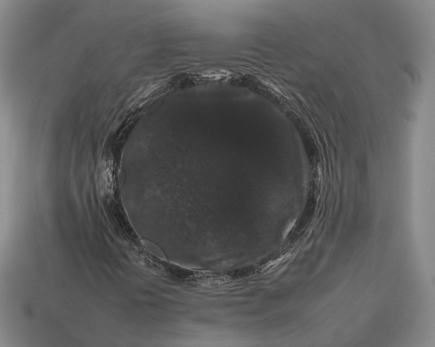 X0000112931394200909071024