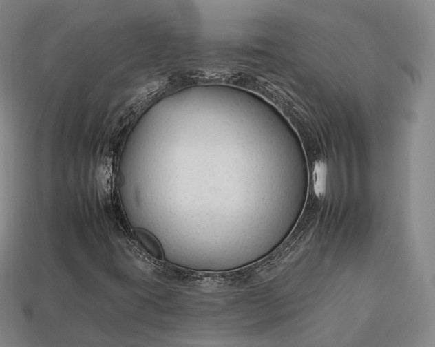 X0000112931395200909071024