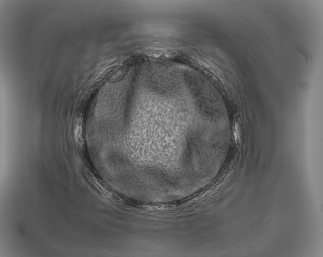 X0000112931396200909071024