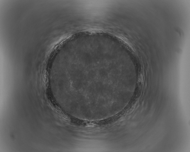 X0000112931398200909071024