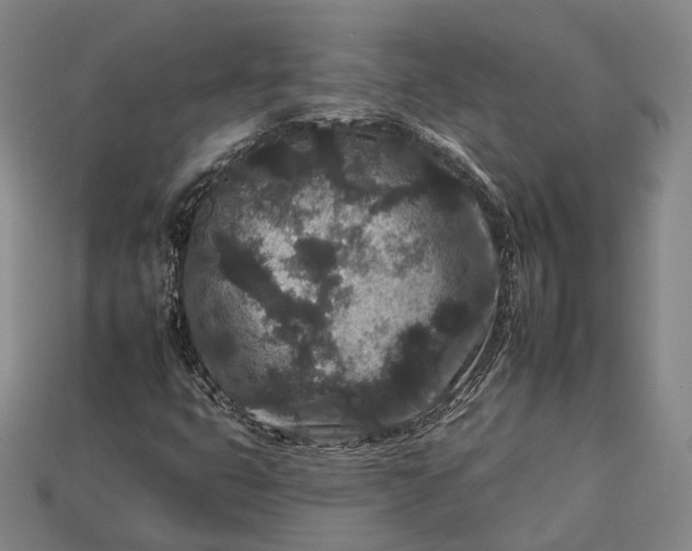 X0000112931399200909071024