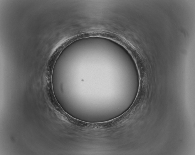 X0000112931400200909071024